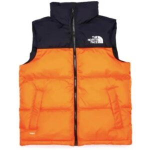 The north face 1996 Classic Couple's Vest