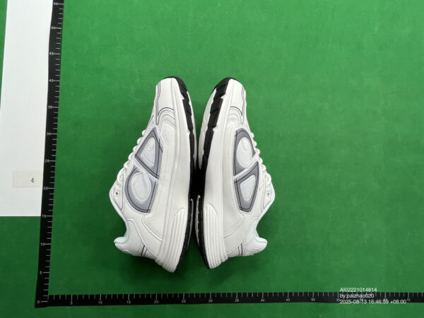 Dior b30 QC image