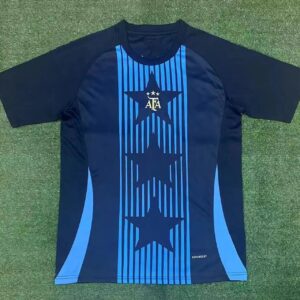 Nike Argentina National Team Navy Blue Stripes Soccer T-Shirt