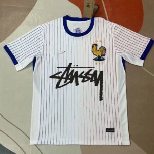 Stussy ROOSTER Series White-Blue-Red Striped Short-Sleeve T-Shirt