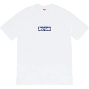 Supreme Paisley Box Logo White Streetwear T-Shirt