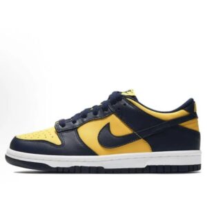 Nike Dunk Skate Yellow Navy
