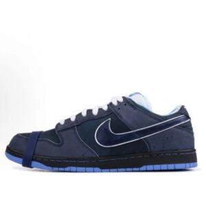 Nike Dunk Casual Skate Shoe Dark Blue